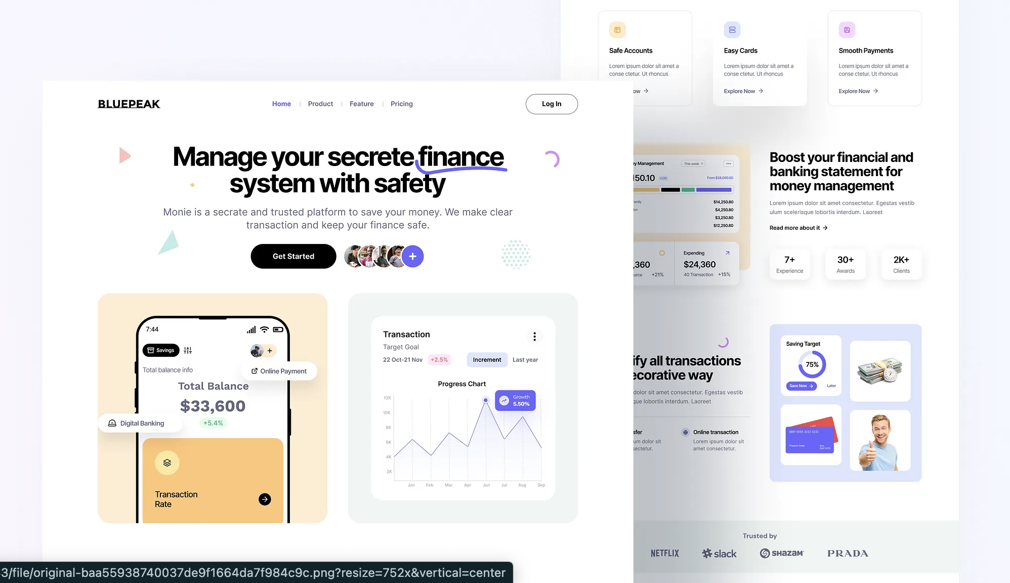Website
